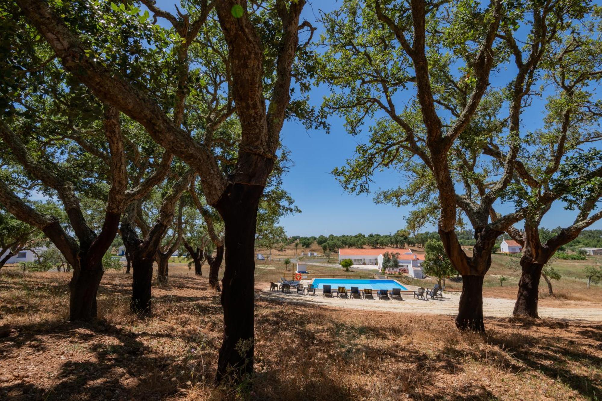 Valle D'Agua - Casas De Campo Vale de Agua Екстер'єр фото